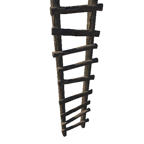 Ladder Old 2